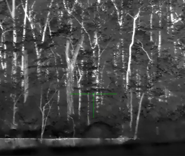 Screenshot 2025-09-28 140320.jpg