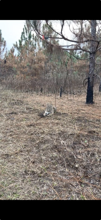 Screenshot 2025-11-30 at 19.33.35.png