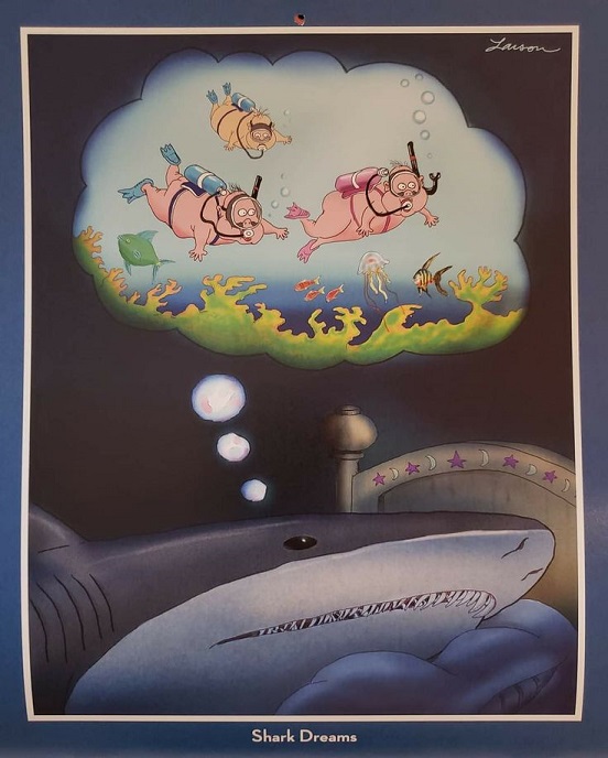 Shark Dreams.jpg