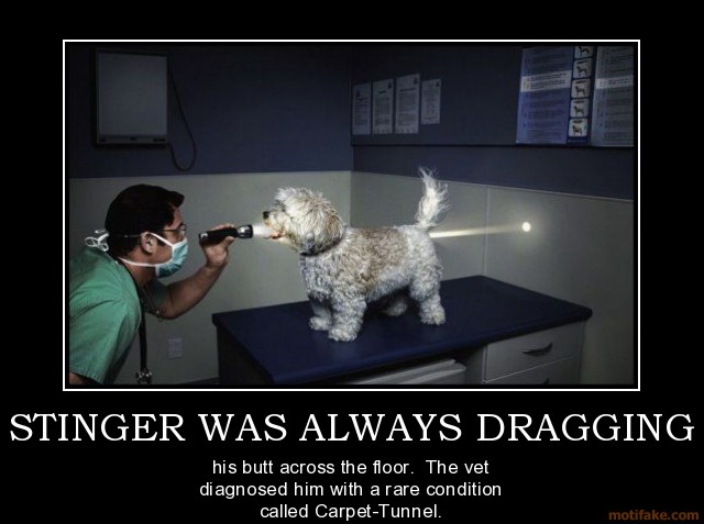 stinger-was-always-dragging-we-changed-his-name-to-buzz-ligh-demotivational-poster-1274587156[1].jpg