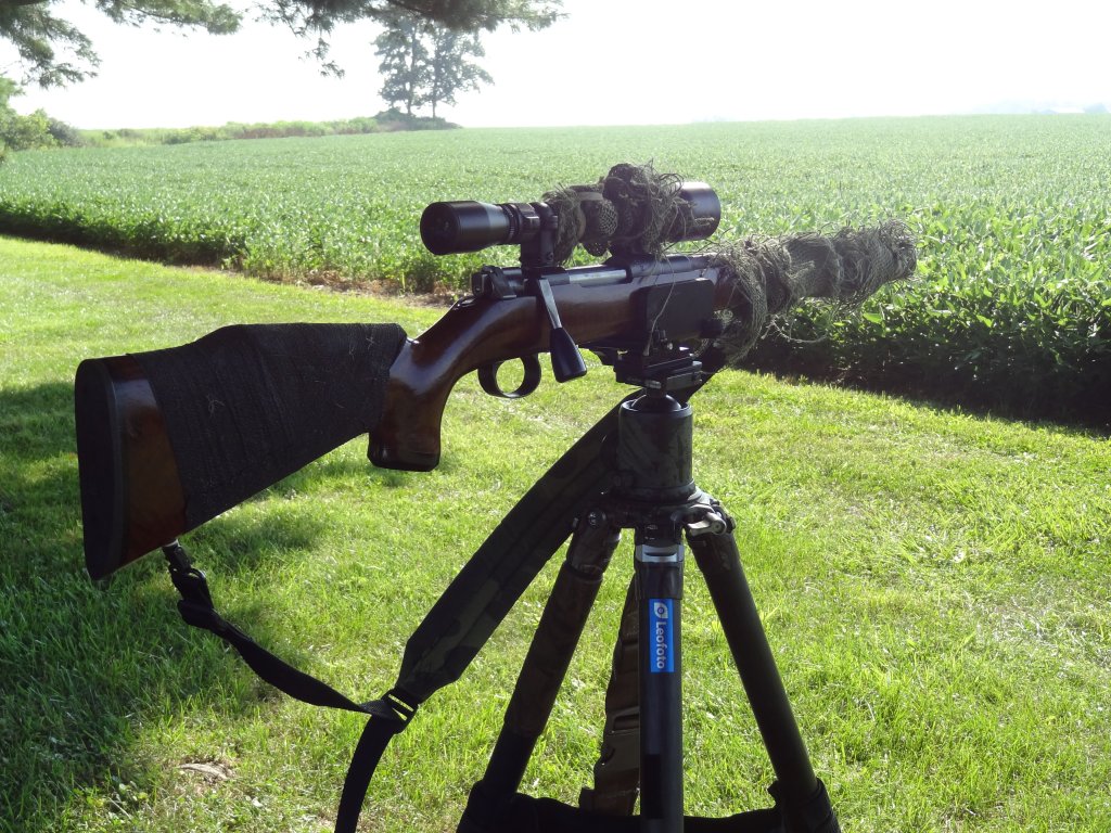 Swedish new stock (2).JPG