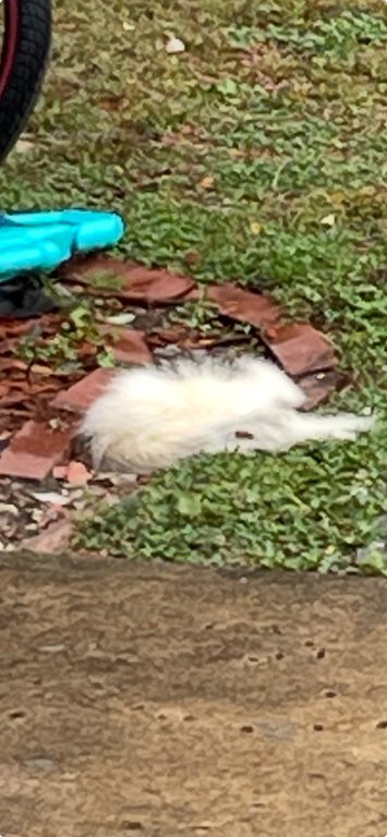 View recent photos.jpeg