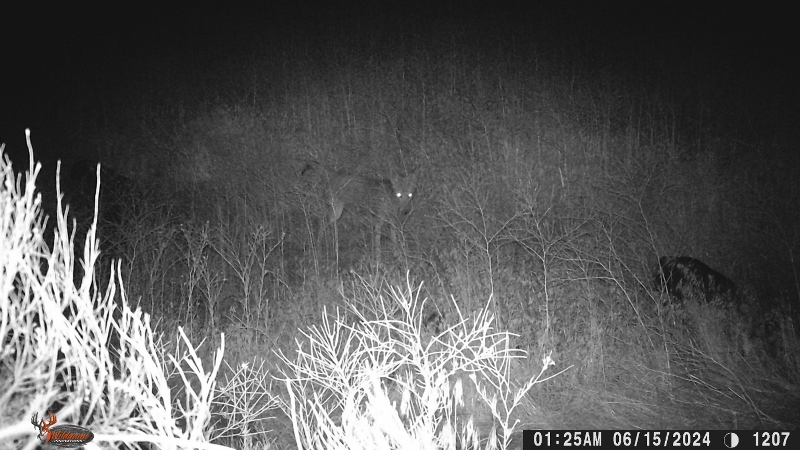 WGI_1207 (800x450).jpg