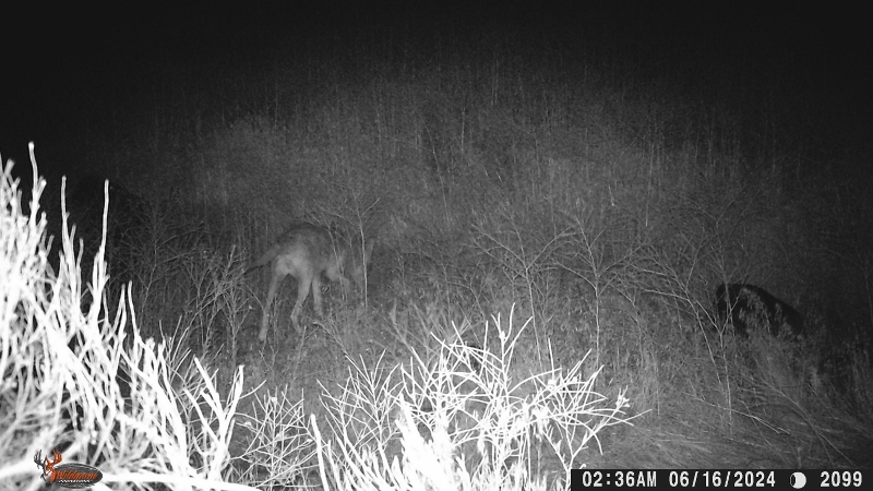 WGI_2099 (800x450).jpg