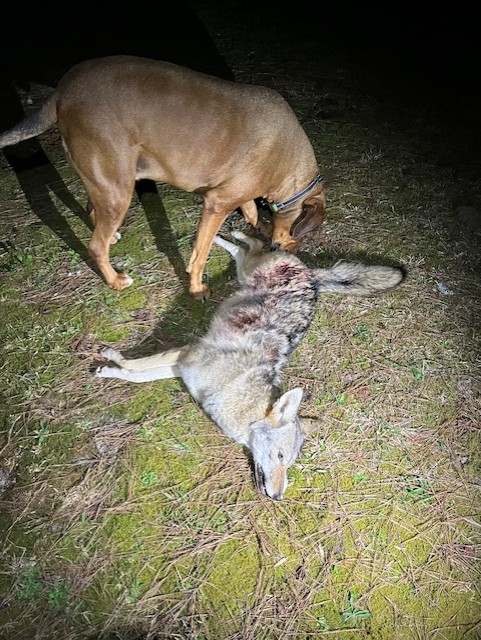 YOTE 032126 1.jpg
