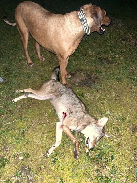 YOTE 081926C.jpg