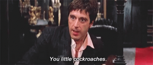 you-little-cockroaches-scarface.gif