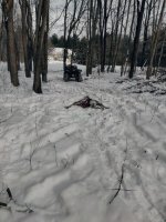 IMG20250114110345 (1)Resized.jpg