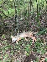 IMG_3445.jpeg