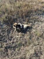 IMG_3173.jpeg