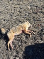 IMG_3170.jpeg