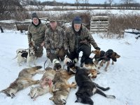 Decenber 13 coyotes .JPG