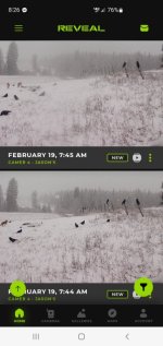 Screenshot_20260219-082618_Reveal.jpg