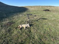 IMG_6698.jpeg