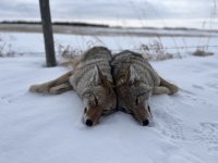IMG_0155.jpeg