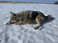 IMG_0149.jpeg