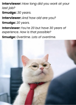 1773670273731.png