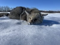 IMG_0159.jpeg