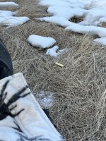 IMG_0179.jpeg