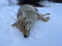 IMG_0180.jpeg