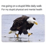 1773788599007.png