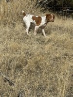 IMG_2072.jpeg