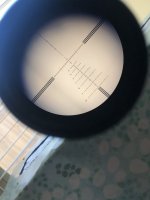 IMG_7583.jpeg
