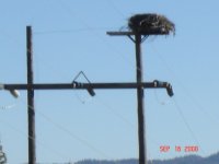 Jackson Wyoming 080.JPG