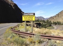 bears are dangerous.jpg