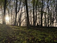 IMG_8605.jpeg