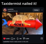 1777254494550.png