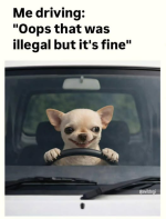 1777493046393.png