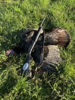 IMG_8065.jpeg