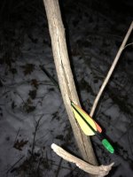 IMG_1447.jpeg