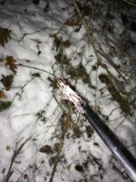 IMG_1448.jpeg