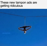 1778017277029.png
