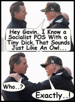 1778037732723.png