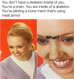 1779407604162.png