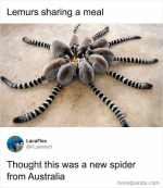 1779732860041.png