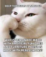 1780103548618.png