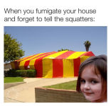 1780405529375.png