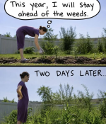 1780760844258.png