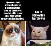 1781032226266.png