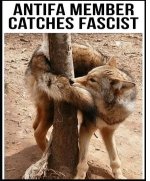 Catches self.jpg