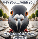 1781561580827.png