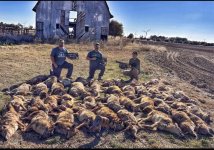 okie coyote hunt.jpg