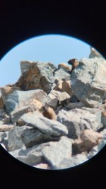 rc9.jpg