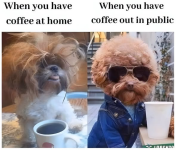 1782735303743.png