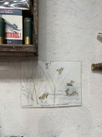 IMG_8271.jpeg