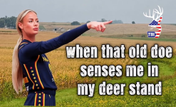 1782926824972.png